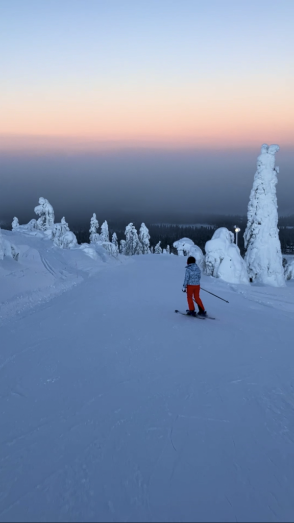 Lapland skien
