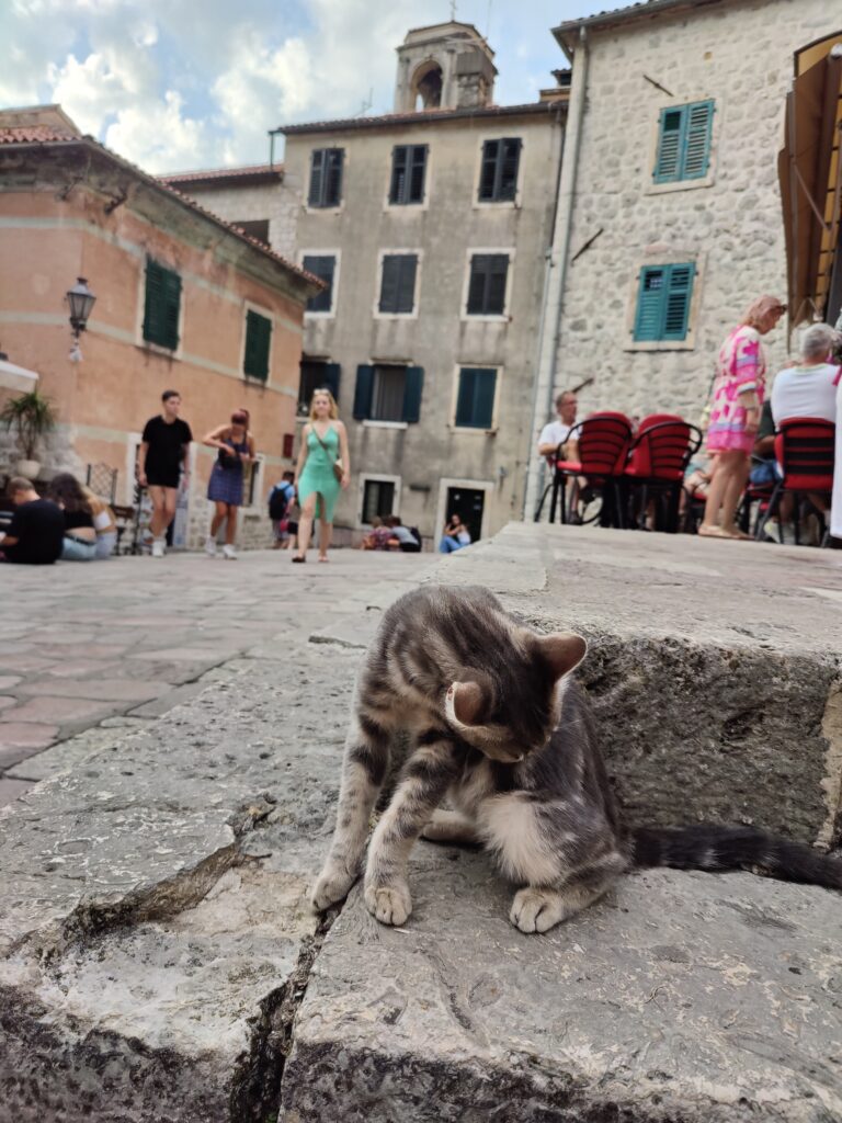 Kotor in Montenegro met kinderen