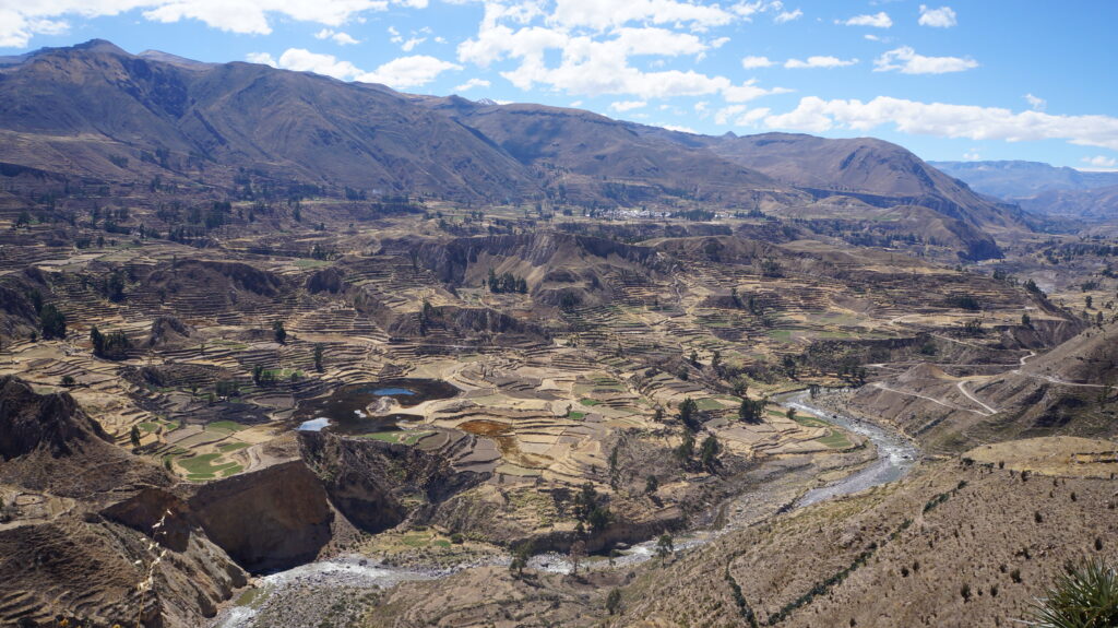 Colca Canyon Peru