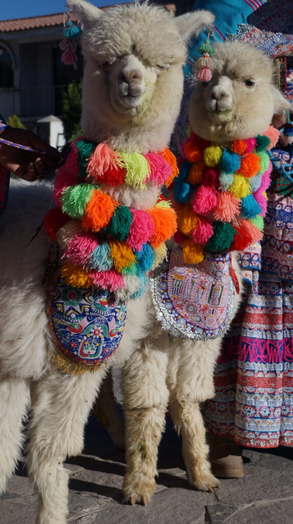 Colca Canyon Peru