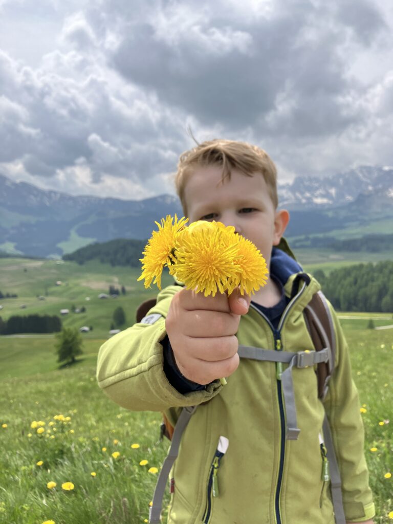 Alpe di Siusi Dolomieten Italië