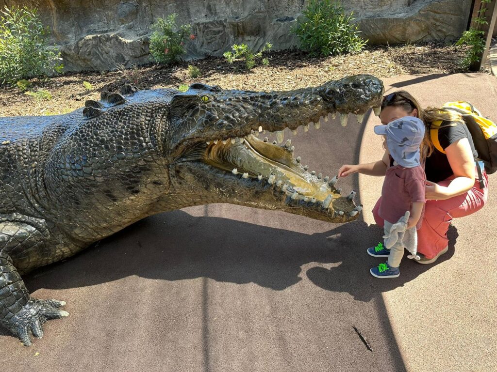 Australia Zoo Oostkust Australië