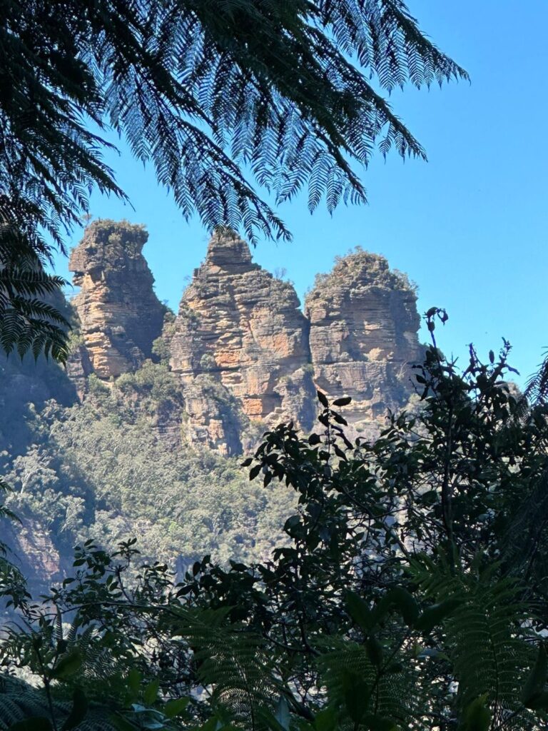 Blue Mountains Oostkust Australië