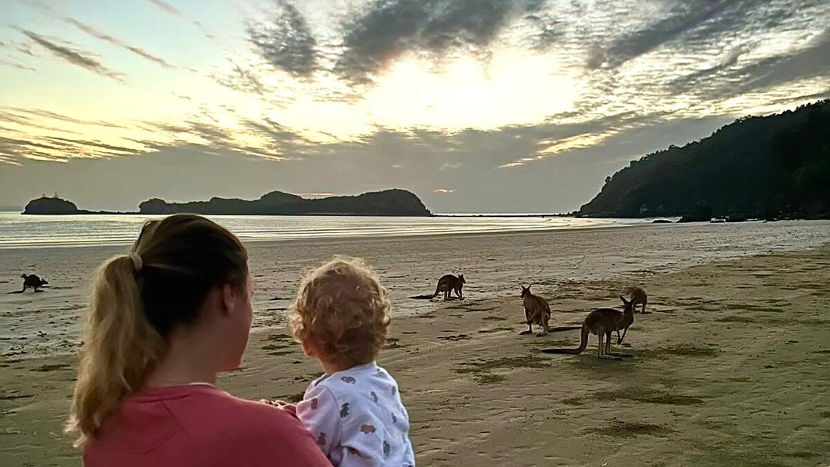 Cape Hillsborough Oostkust Australië