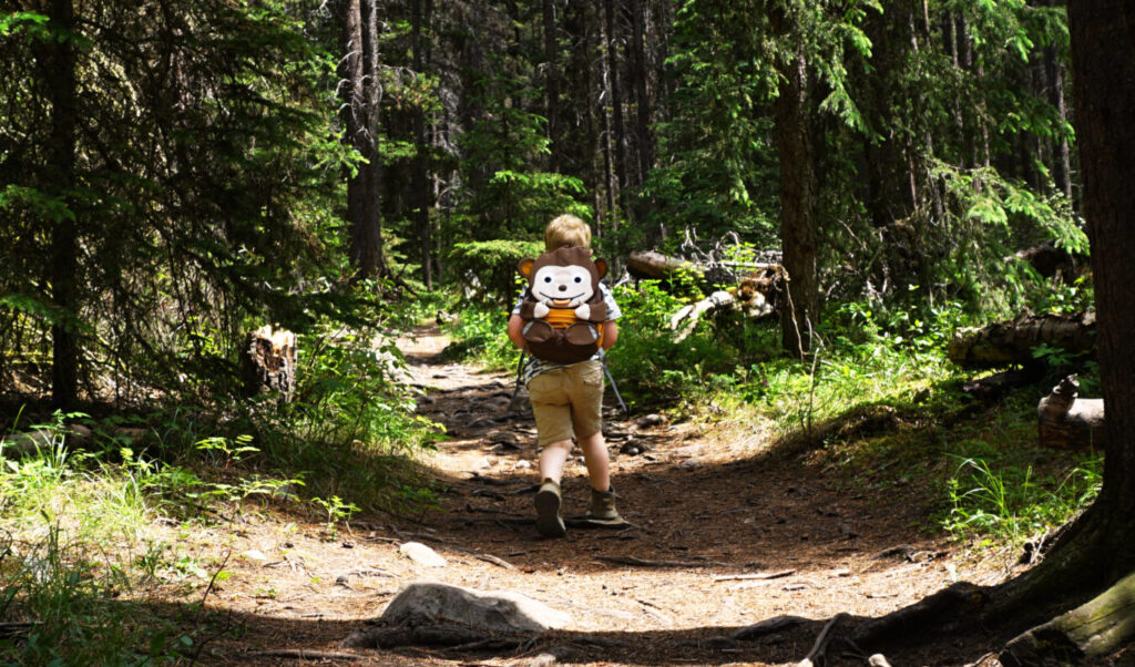 In de bossen van Canada